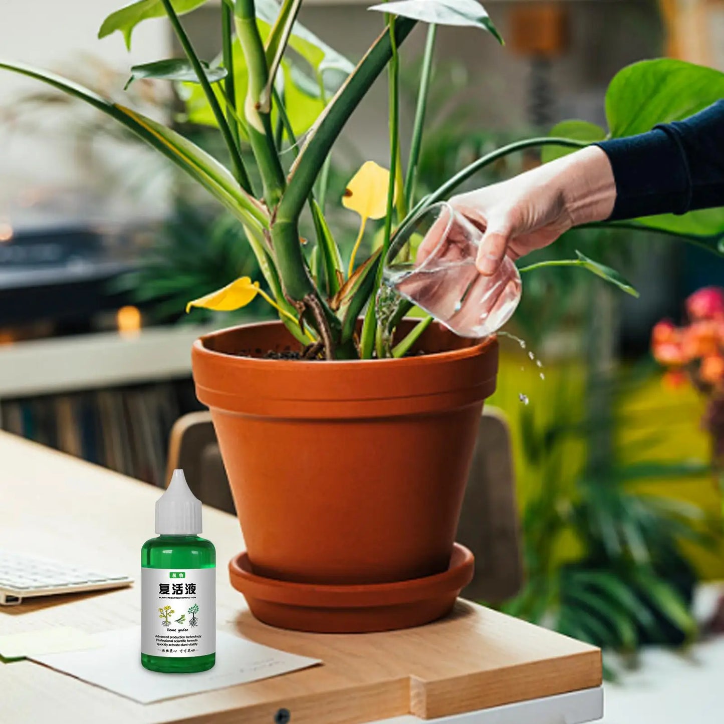 Plant Nutrients Liquid 50ml Outdoor and Soil Growing Plant Food Promotes Healthy & Strong Growth Fertilizing Liquid Concentrate