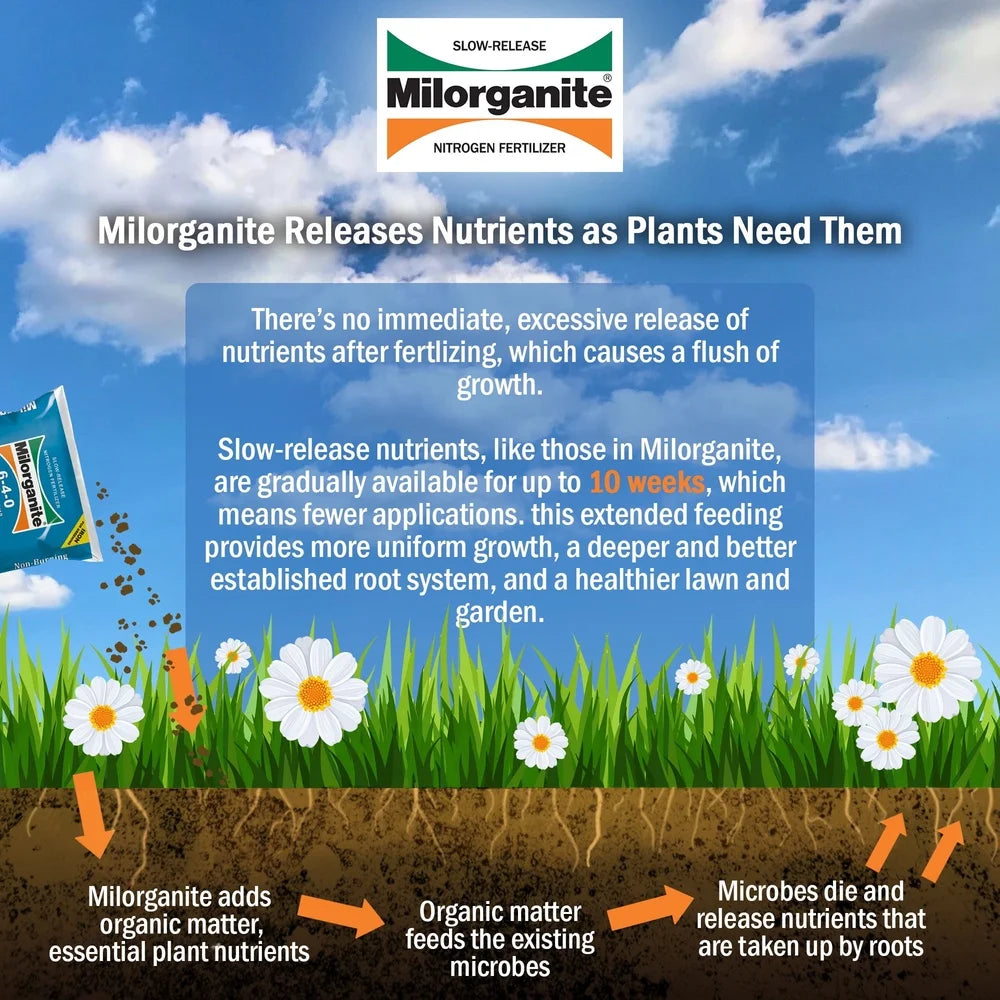 Long Lasting All Purpose Lawn Fertilizer 6-4-0 Slow Release Non Burning Organic 32 lb Cuts Mowing Time Reduces Watering NPK 10