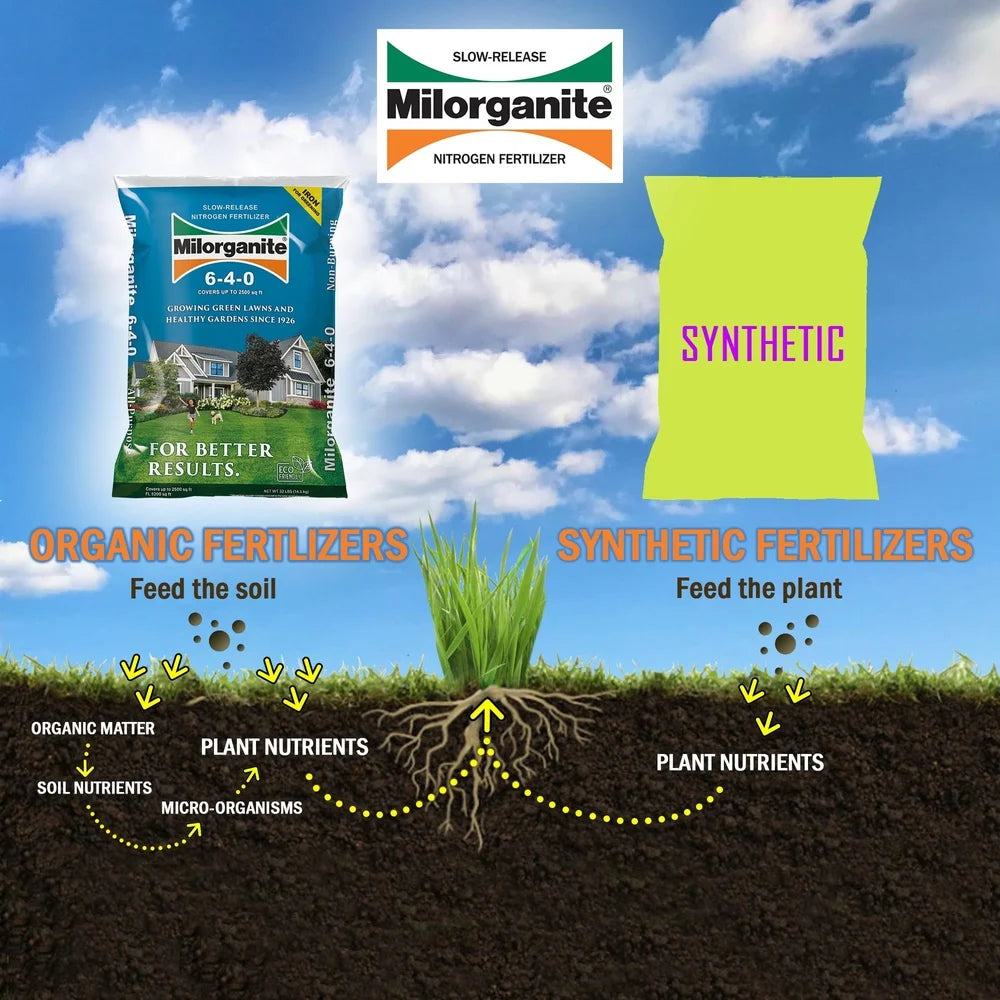 Long Lasting All Purpose Lawn Fertilizer 6-4-0 Slow Release Non Burning Organic 32 lb Cuts Mowing Time Reduces Watering NPK 10