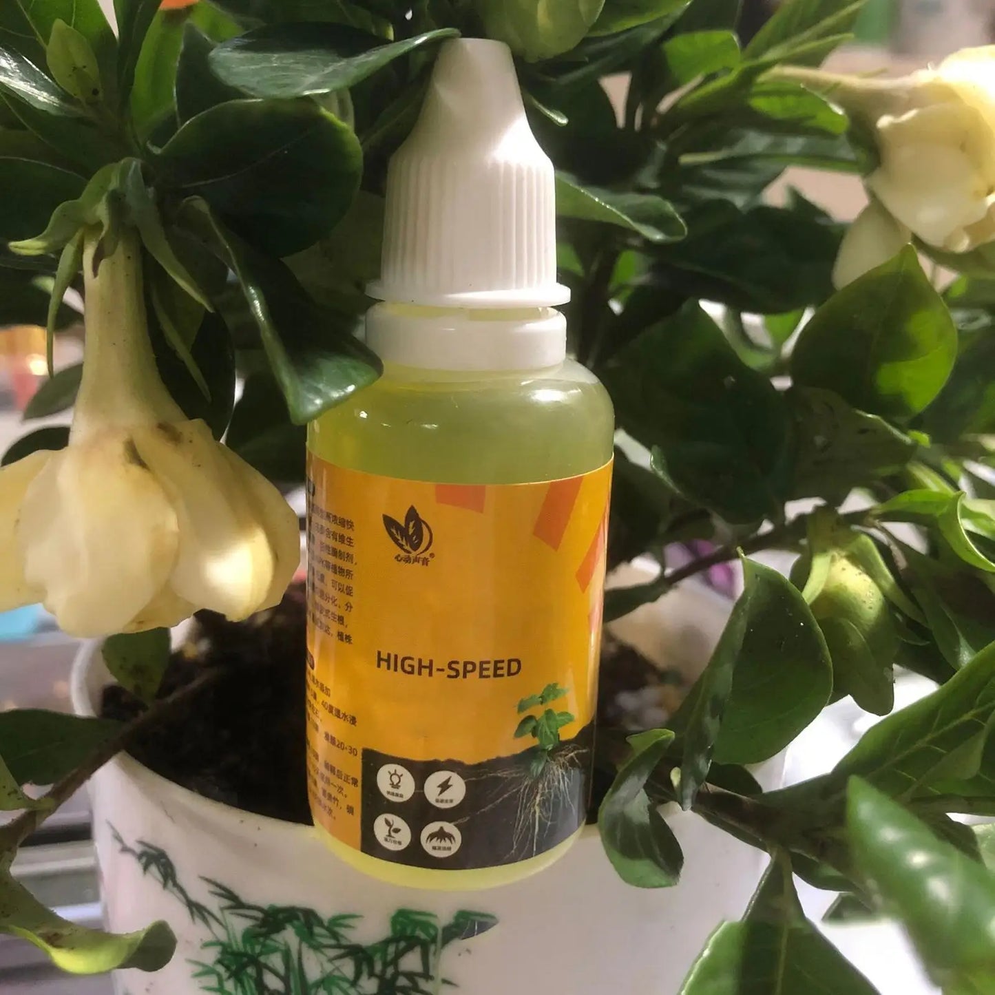50ml Plant Rooting Stimulator Liquid Plant Root Booster Liquid Rapid Rooting Agent Liquid Fertilizer Strong Rooting Stimulator
