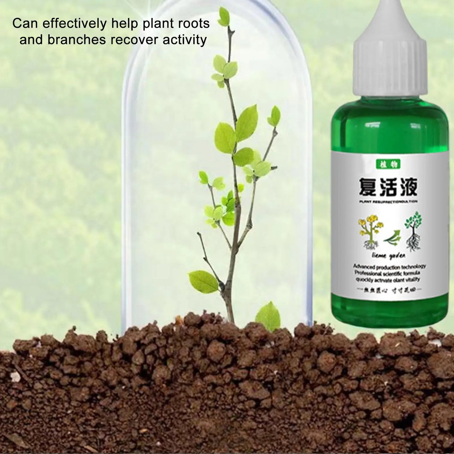 Plant Nutrients Liquid 50ml Outdoor and Soil Growing Plant Food Promotes Healthy & Strong Growth Fertilizing Liquid Concentrate