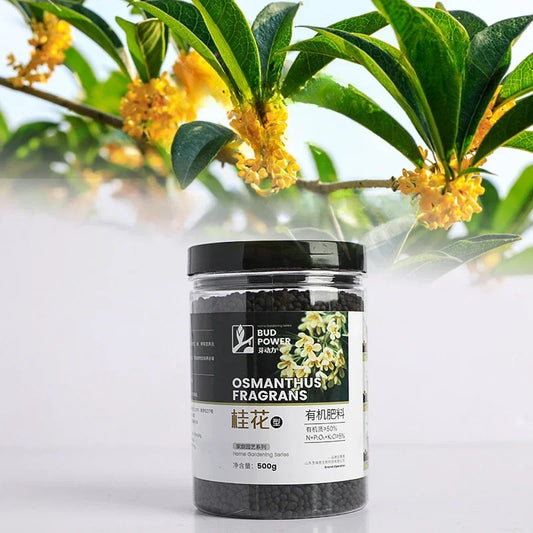 Osmanthus Fragrans Nutrient Solution Plant and Flower Promoting Flowering Promoting Flowering In All Seasons Fertilizer