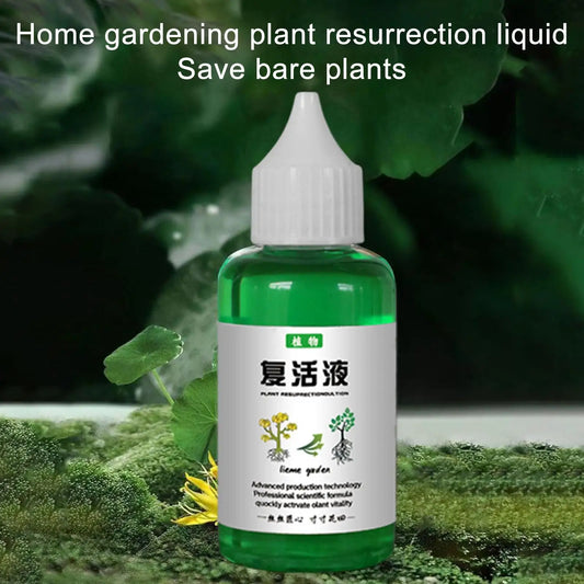 Plant Nutrients Liquid 50ml Outdoor and Soil Growing Plant Food Promotes Healthy & Strong Growth Fertilizing Liquid Concentrate
